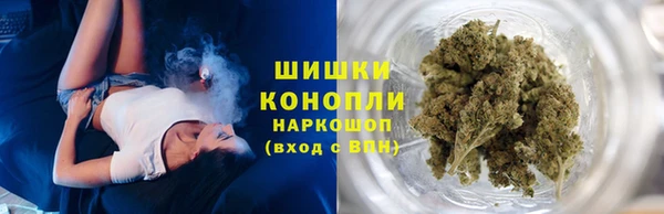 эйфоретик Арсеньев