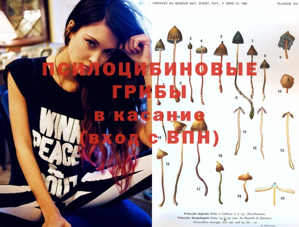 эйфоретик Арсеньев