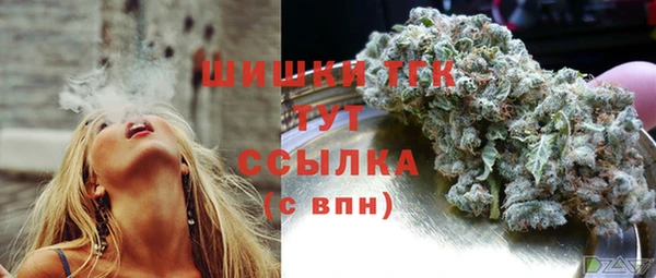 эйфоретик Арсеньев