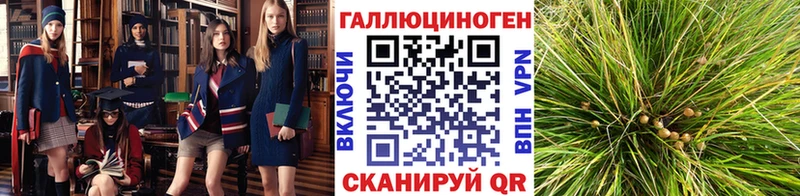 Псилоцибиновые грибы GOLDEN TEACHER  Купить закладки  Светлоград 